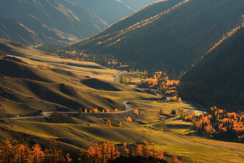 алтай,горный алтай, осень, чике-таман Скоро осень,за окнами август... фото превью
