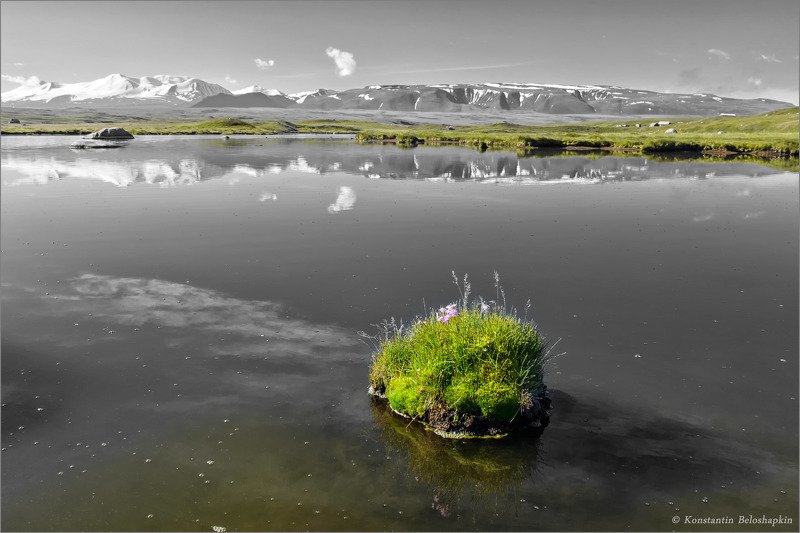 бертек, укок, табын_богдо_ола, алтай Южный Алтай фото превью