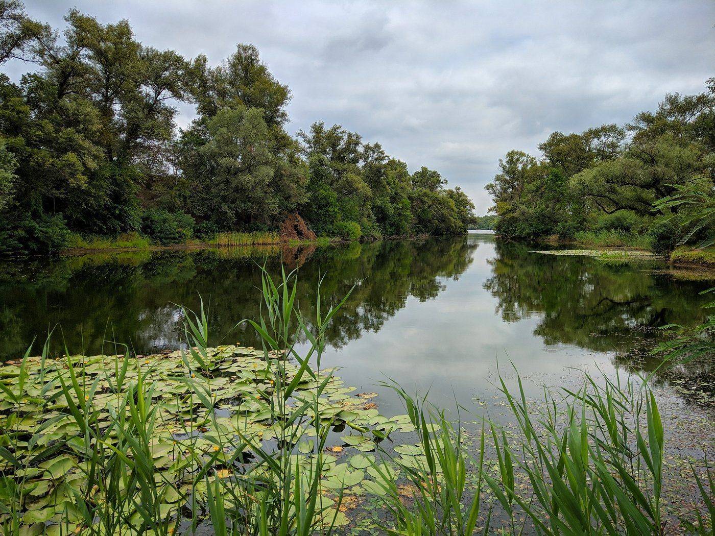 вечер,пейзаж,релакс,отражение,вода,берег,облака,свет, Сергей Богачёв