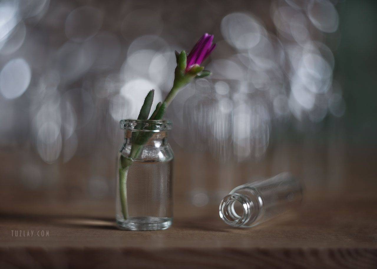 пузырьки, лето во флаконе, боке, bokeh, гелиос 44, Владимир Тузлай