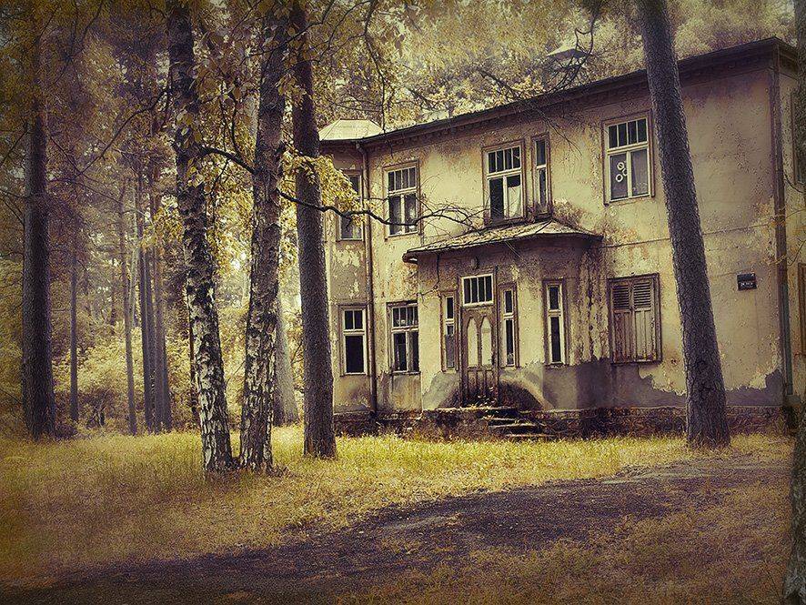 , T. Bondarenko