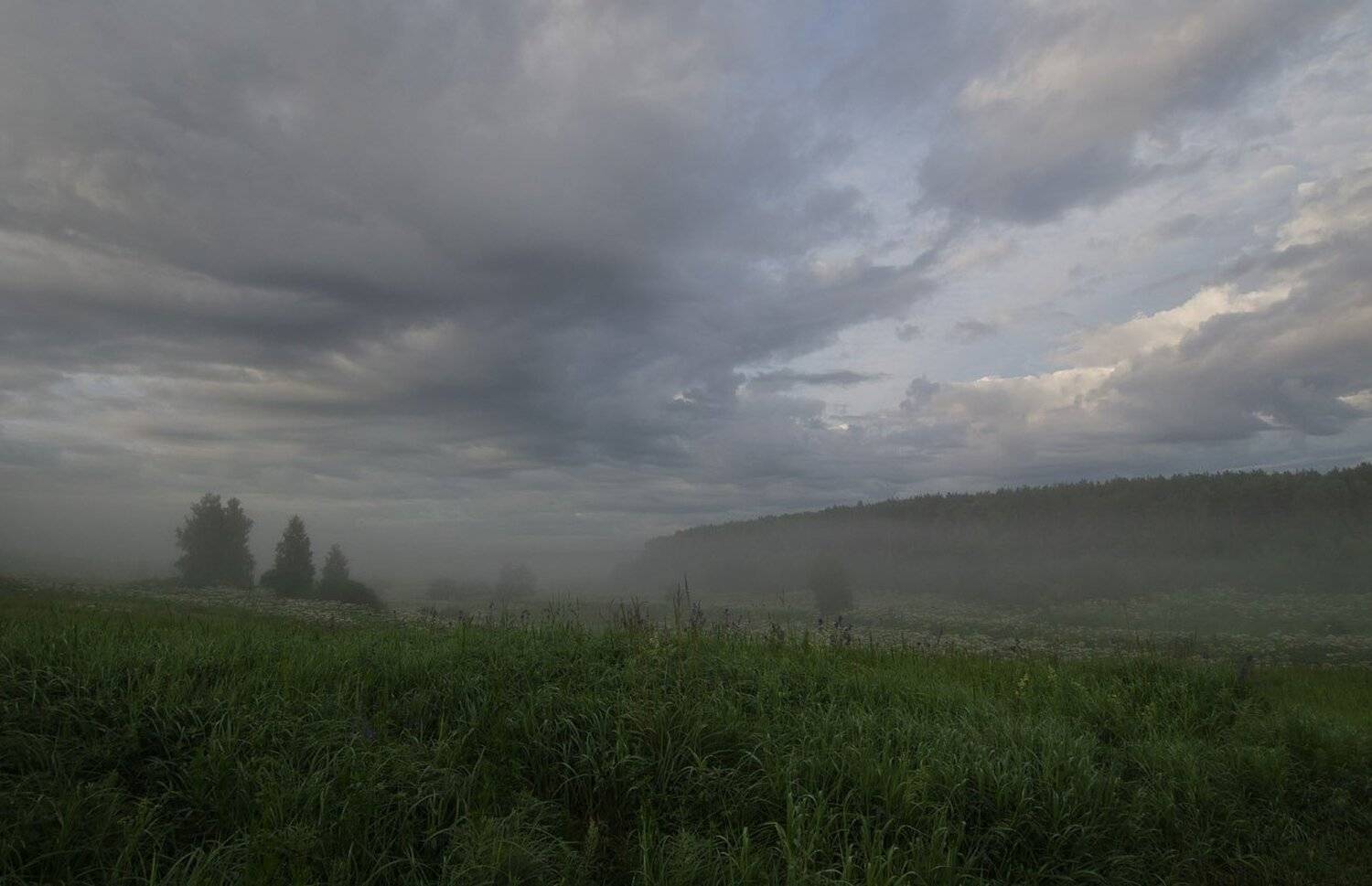 утро, июль, лето, природа, пейзаж, архангельское, Михаил Агеев