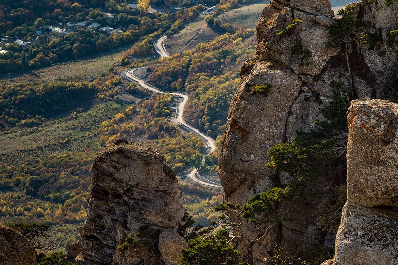 _ фото превью