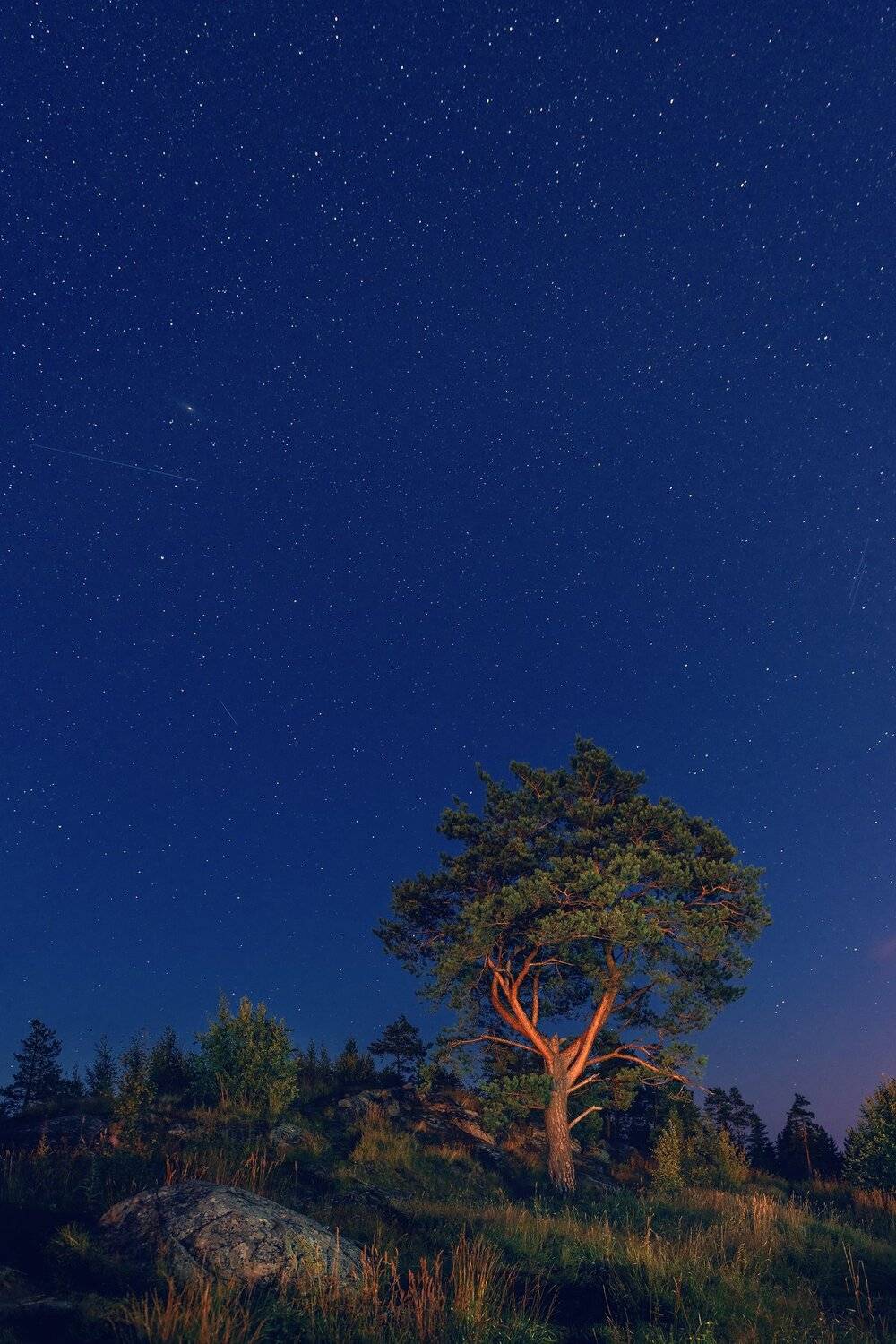 карелия, звезды, ночь, паасо, гора, сосна, небо, синий, сортавала, Анастасия Мазурева