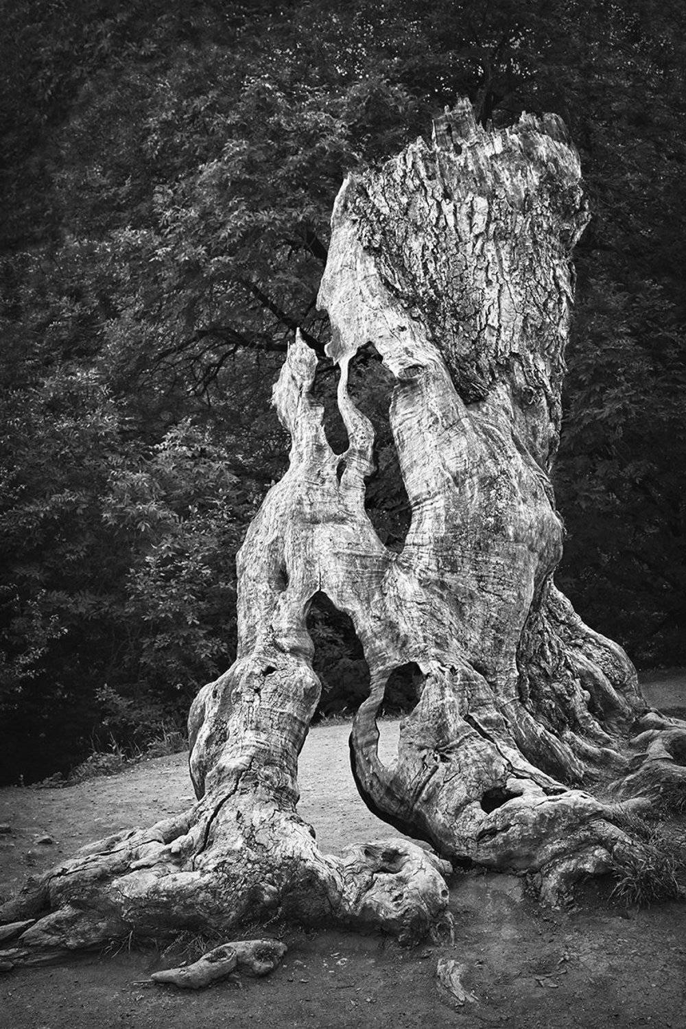 , Гагик Мхитарян