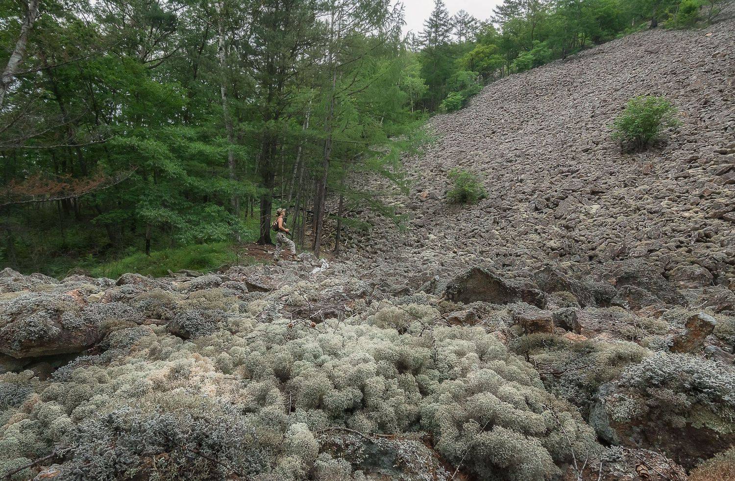 , Шинкарева Елена