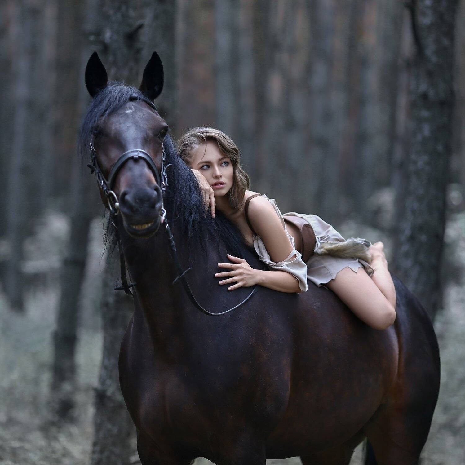 амазонка, охотница, лошадь, девушка на лошади, horse, сосновый лес, Ирина Голубятникова