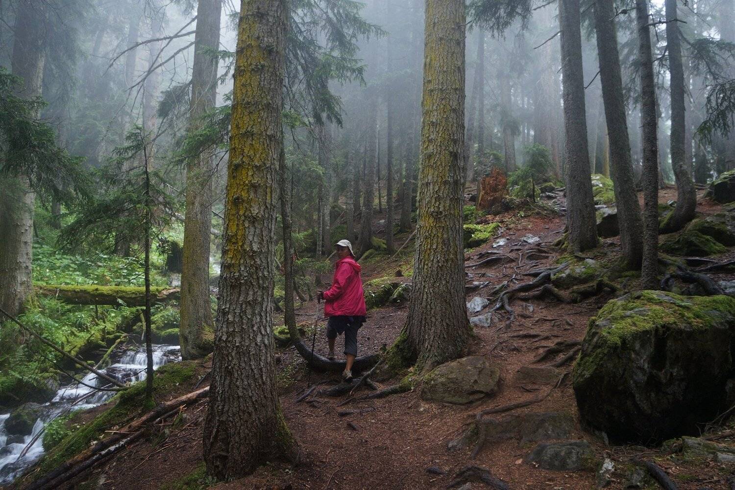 , Дитковский Евгений