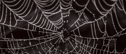 Паутина-фрагменты