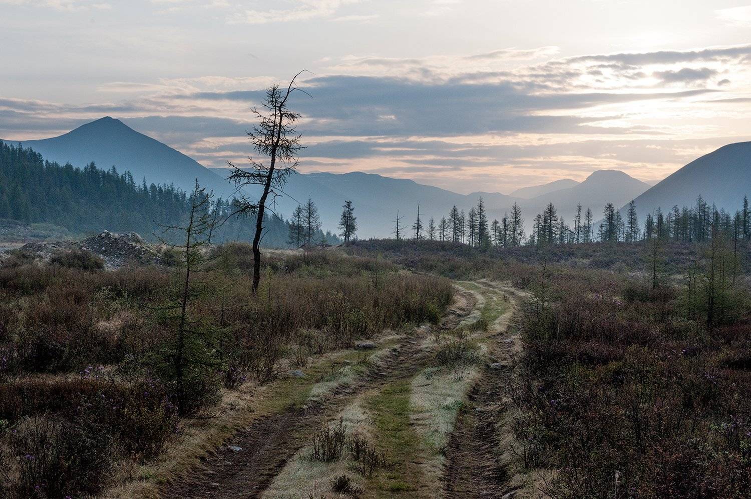 , Борис Леваков