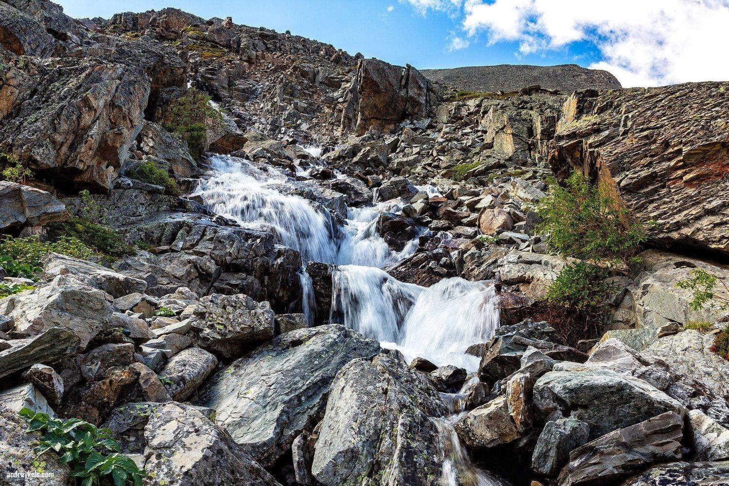 , Андрей Кельс