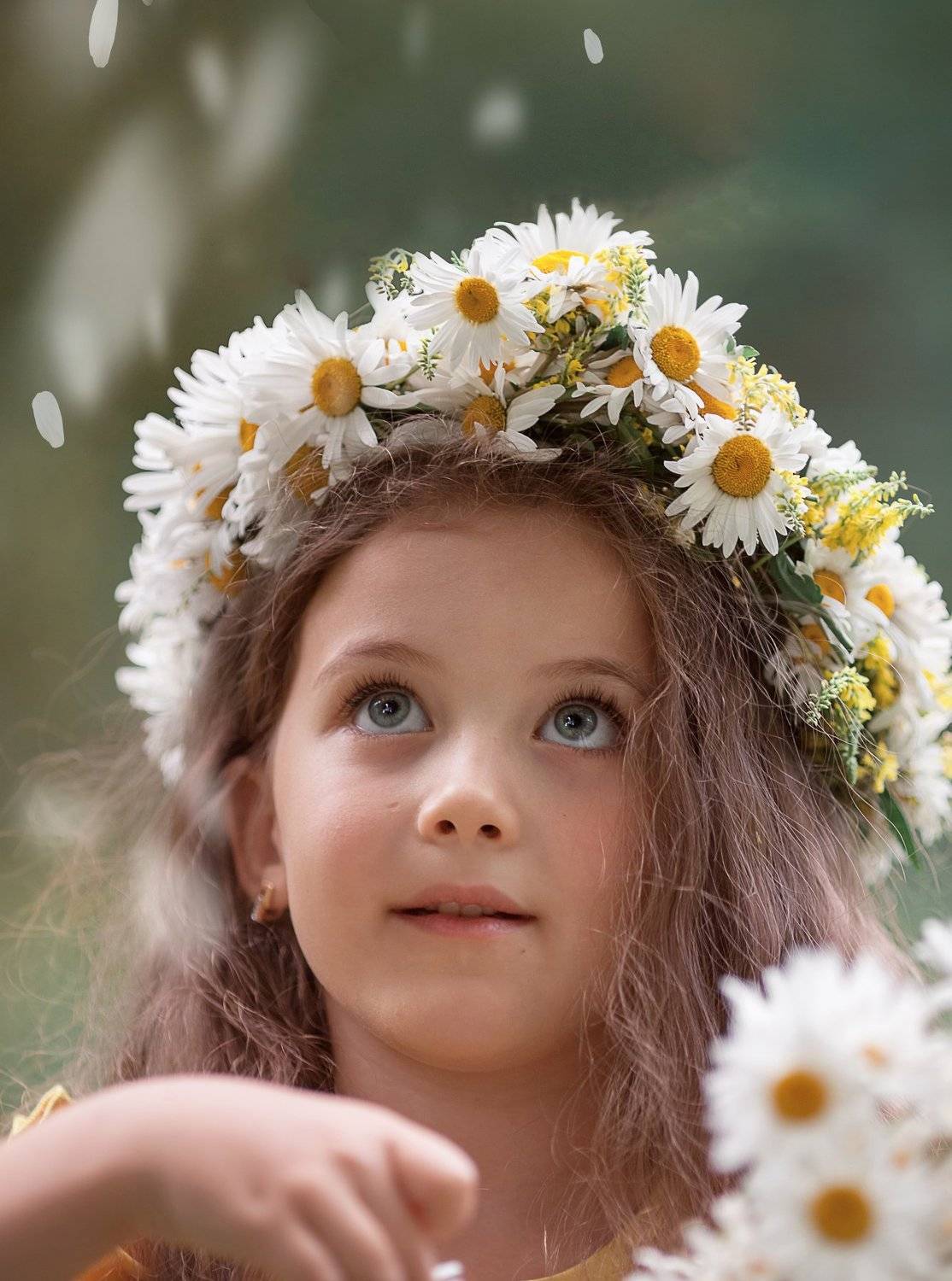 девочки ромашки , Екатерина Годова