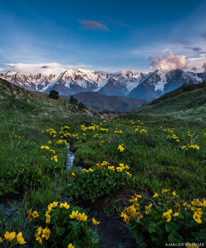 россия, кавказ, ингушетия, закат, горы, природа, пейзаж, цветы, весна, russia, caucasus, ingushetia, sunset, mountains, nature, landscape, flowers, spring Заповедник Эрзи фото превью