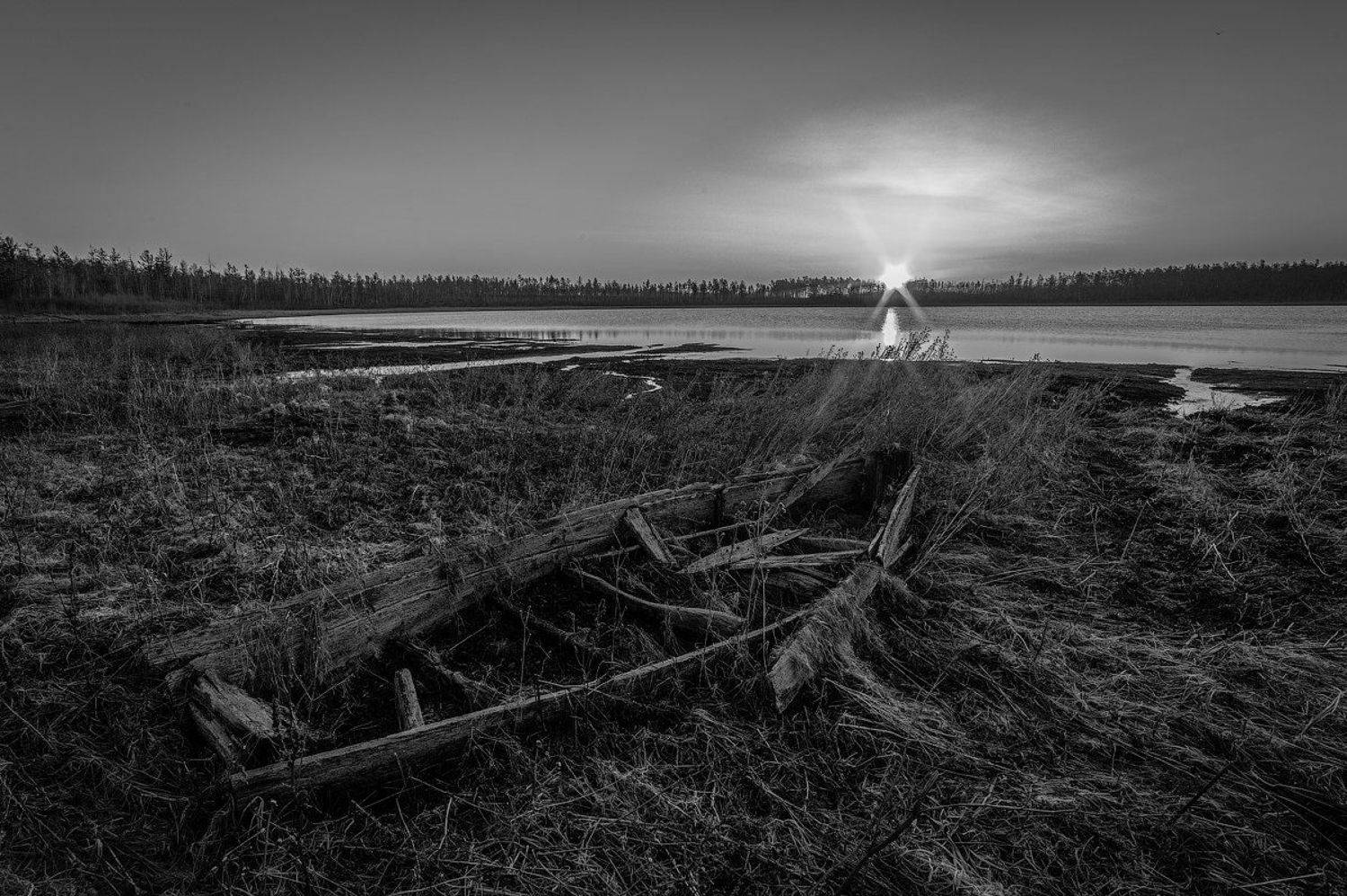 , Комеров Роман