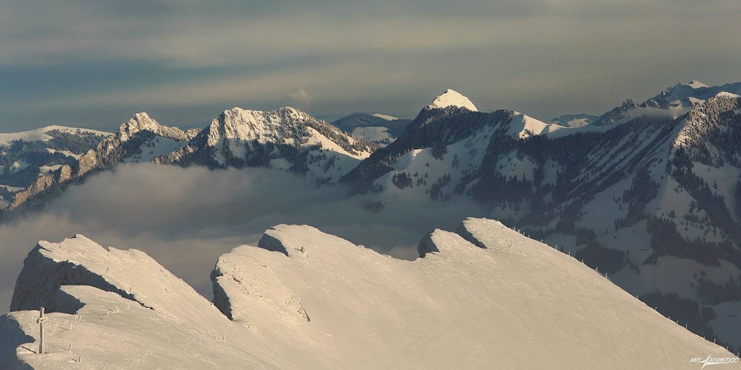 swiss, Матвеев Николай