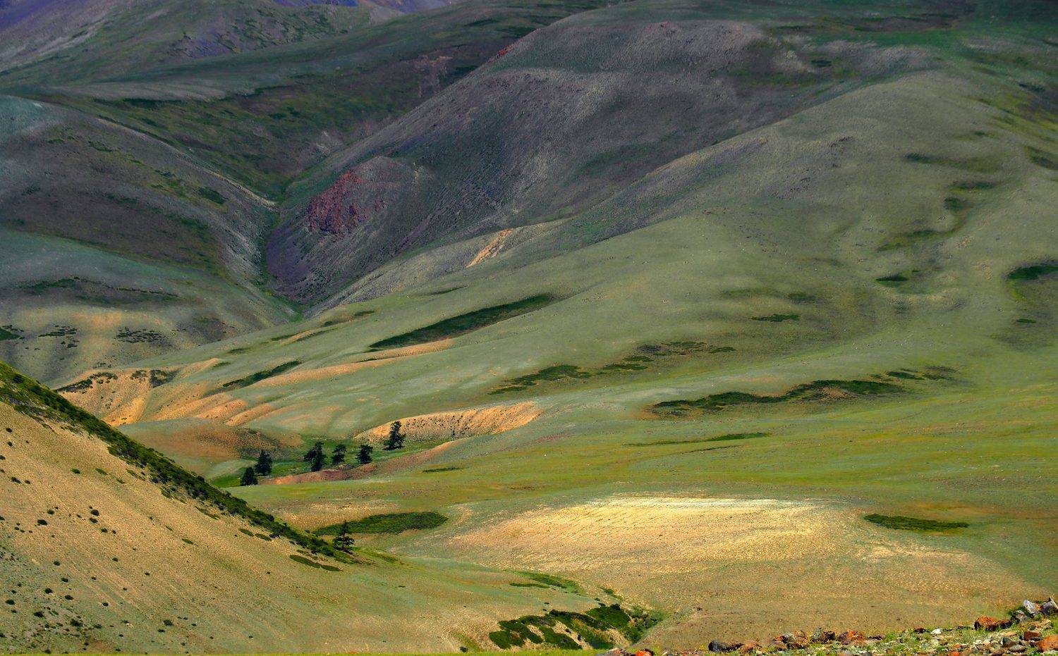 алтай, Андрей Перешеин