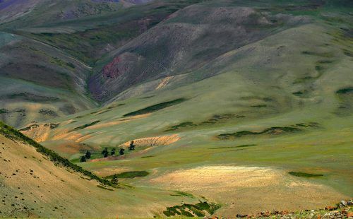 Курайский хребет - детали.