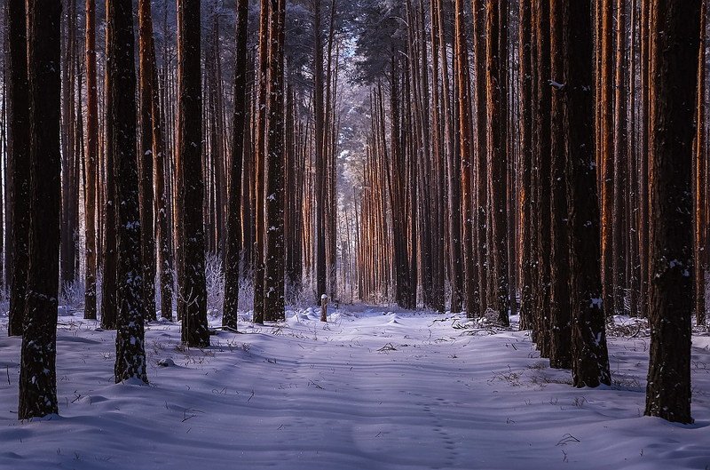 Немного прохлады фото превью