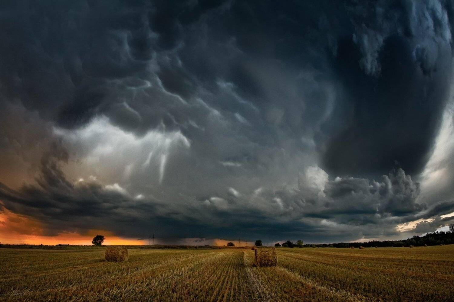 Беларусь, Серж Домбровский