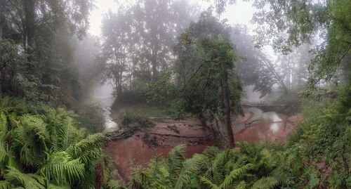 Прохладное утро