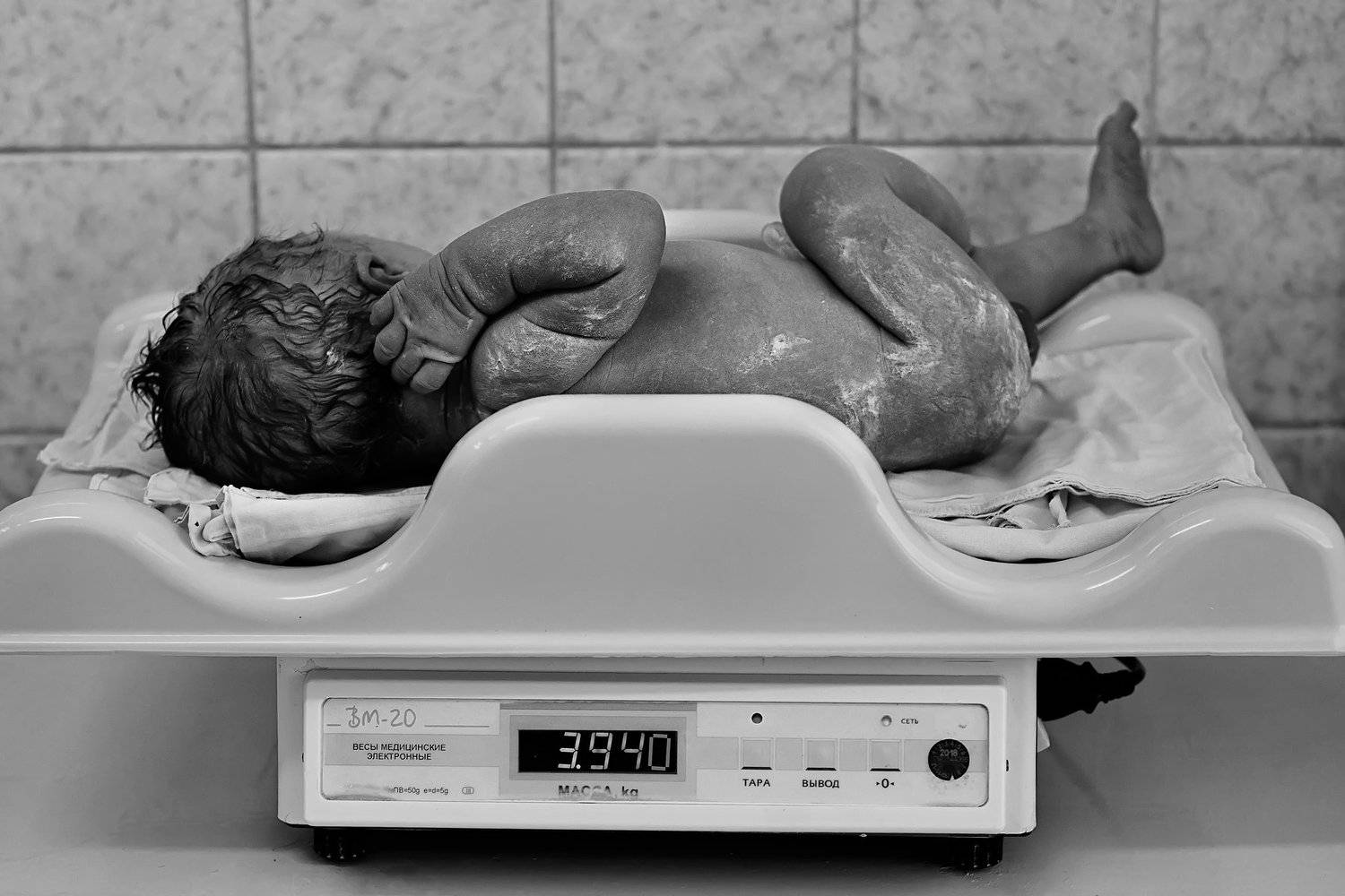 , Илона Чвань