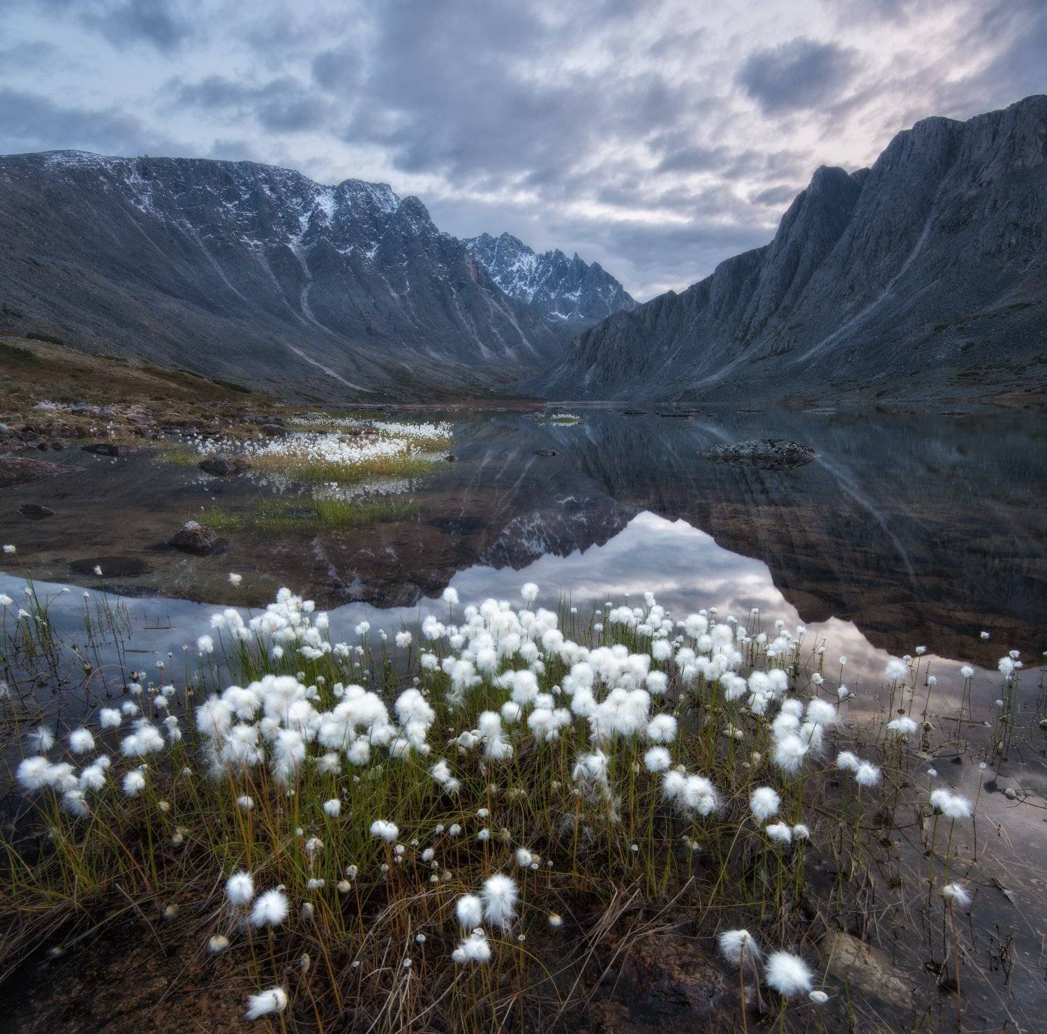 , Андрей Грачев