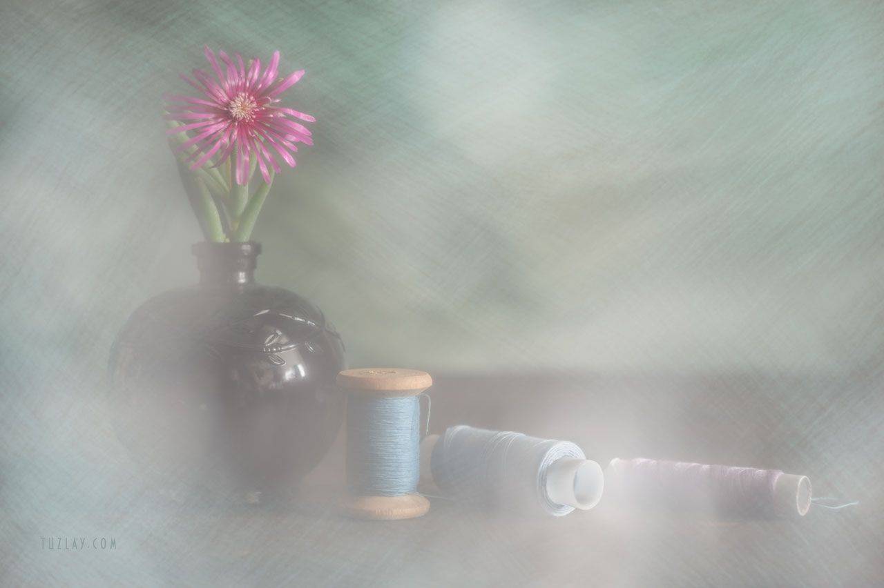 гелиос 44, пурпурный цветок, Владимир Тузлай