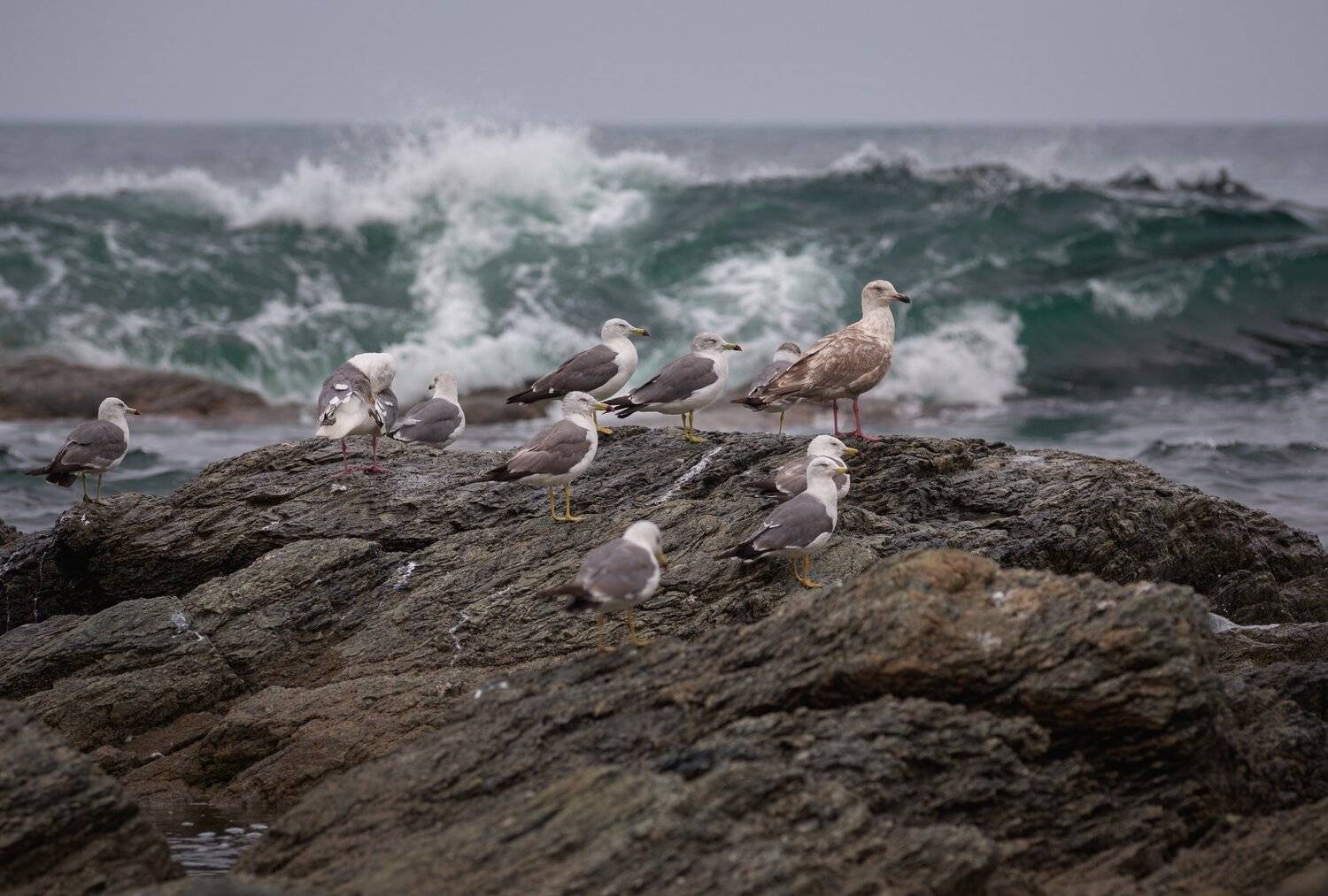 , Артем Удодов