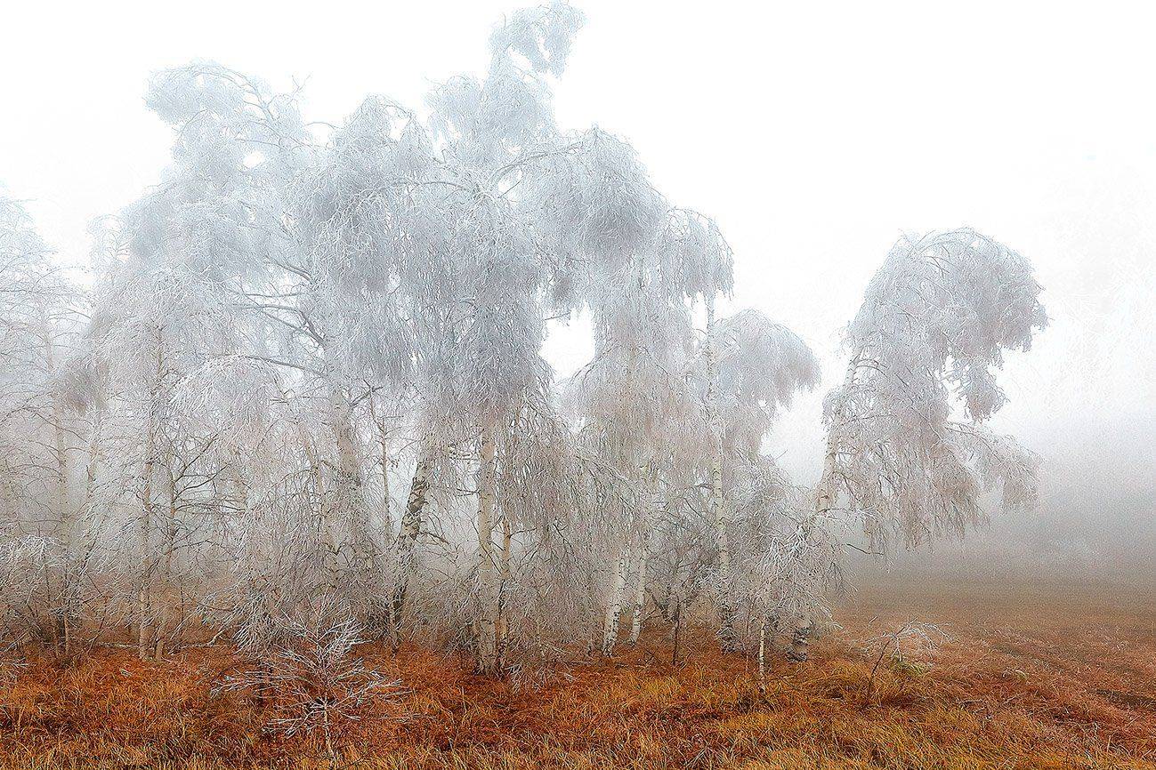 южный, урал, долгие горы, орск, новотроицк башкирия талкас, Качурин Алексей