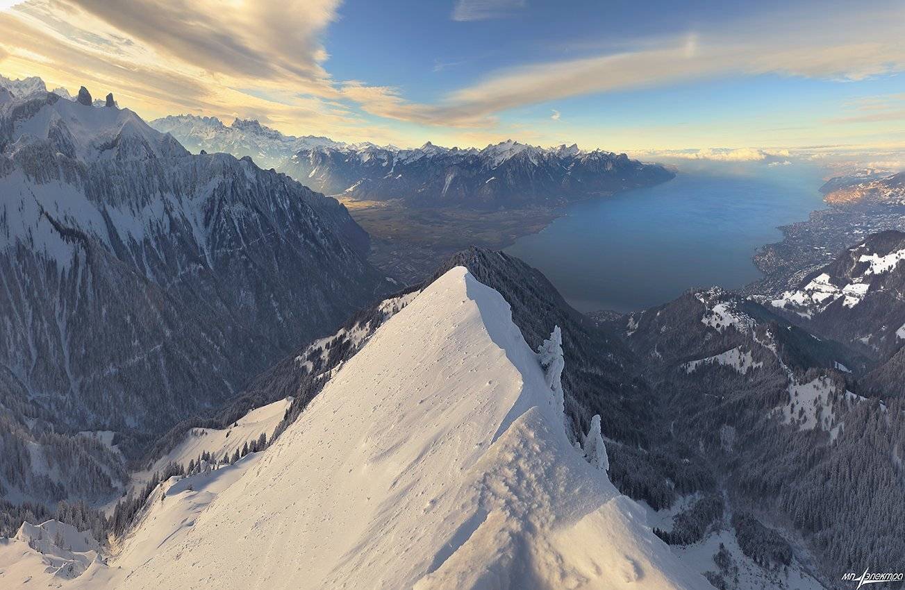 swiss, Матвеев Николай