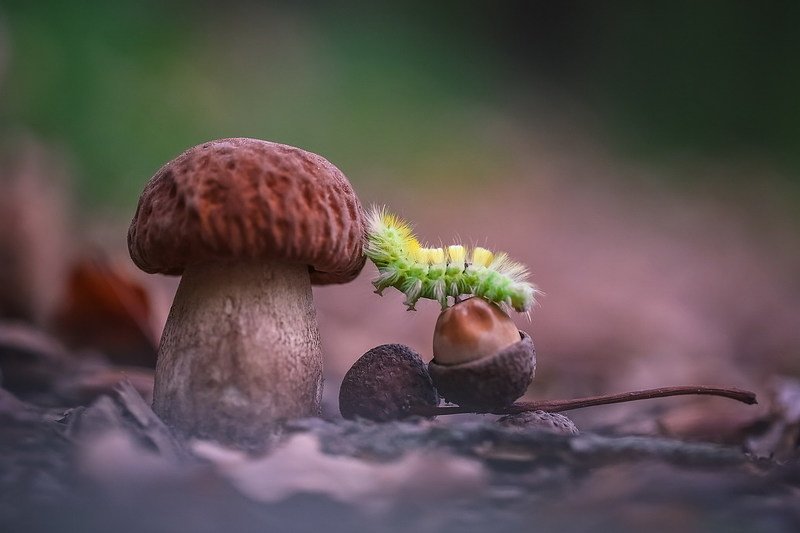 Скалолазка фото превью