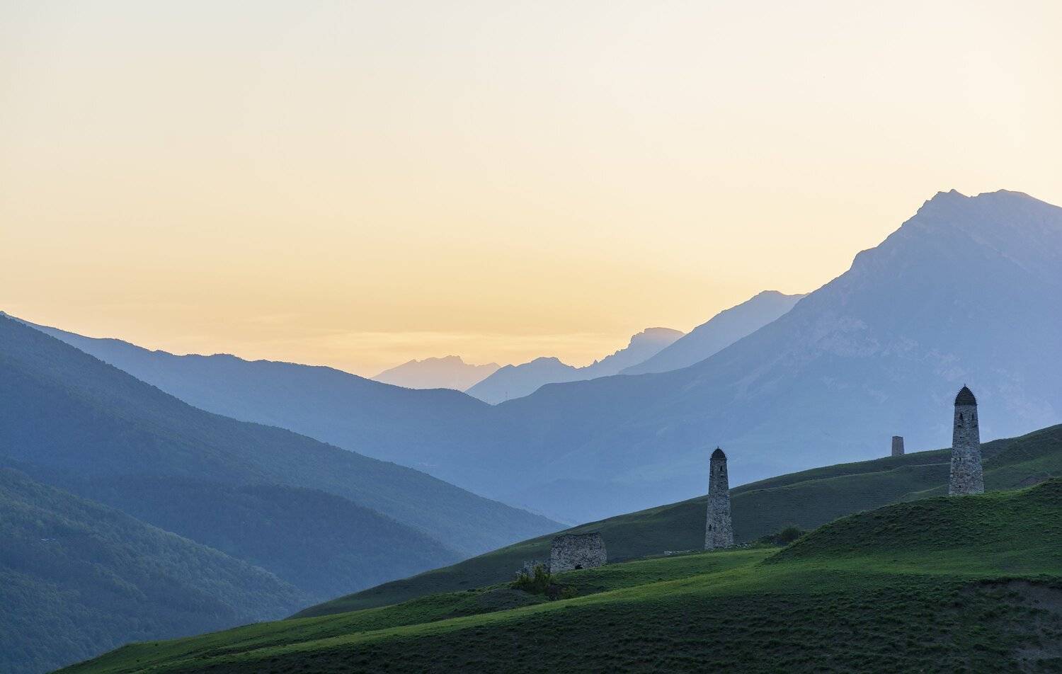 , Дмитрий Новоселов