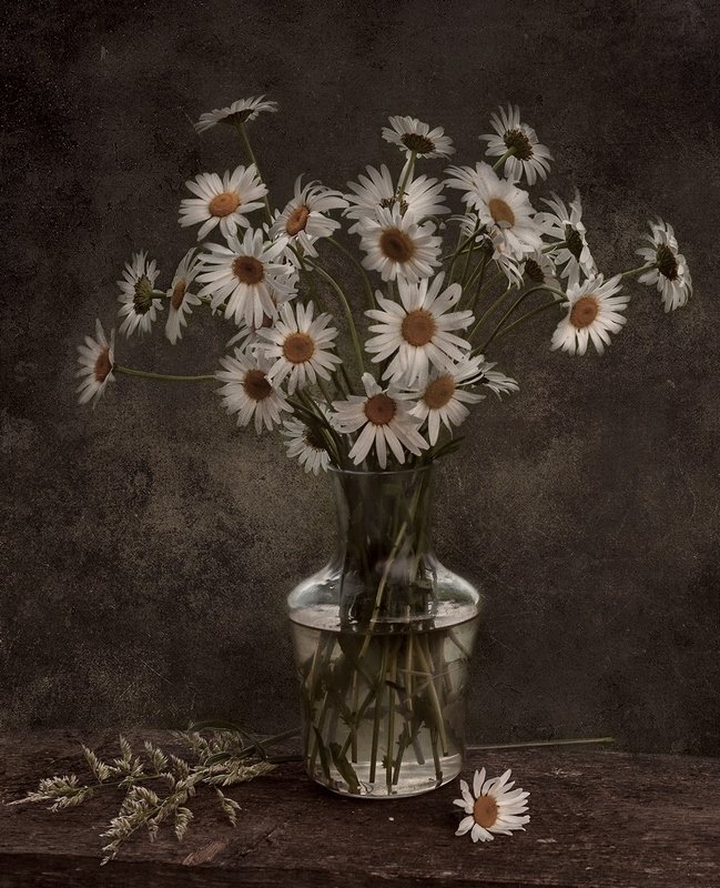 Ромашковый фото превью