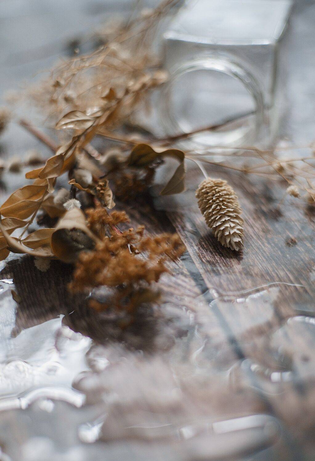 , Владимир Осауленко