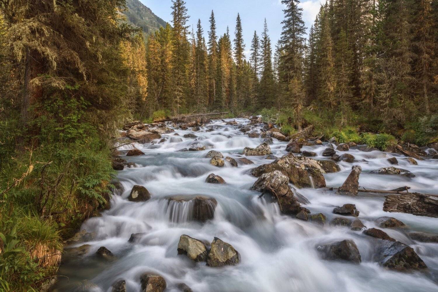 , Шевченко Николай