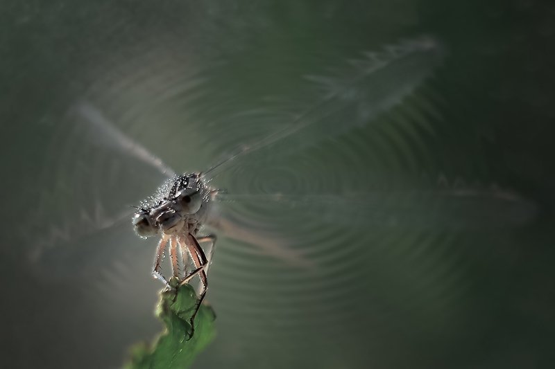 Утро фото превью