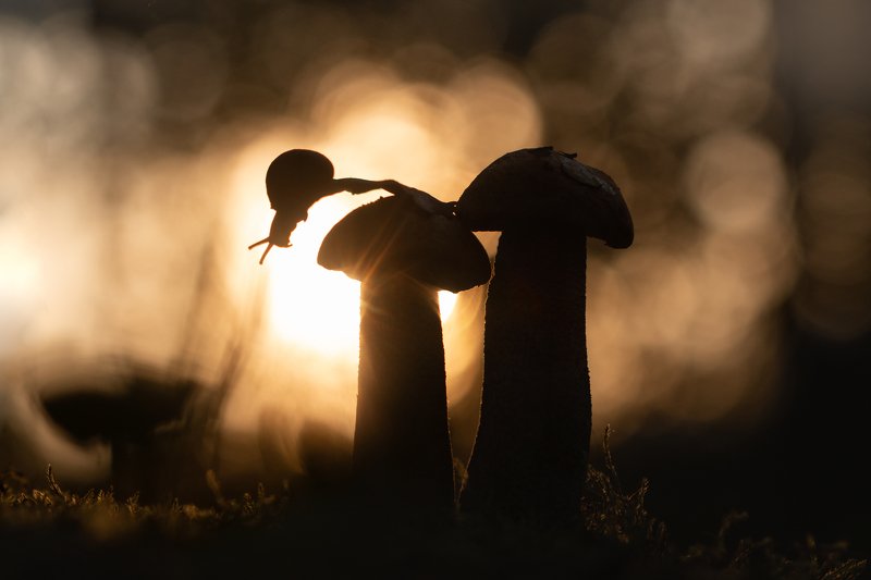 Провожая солнце фото превью