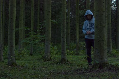 dark trees