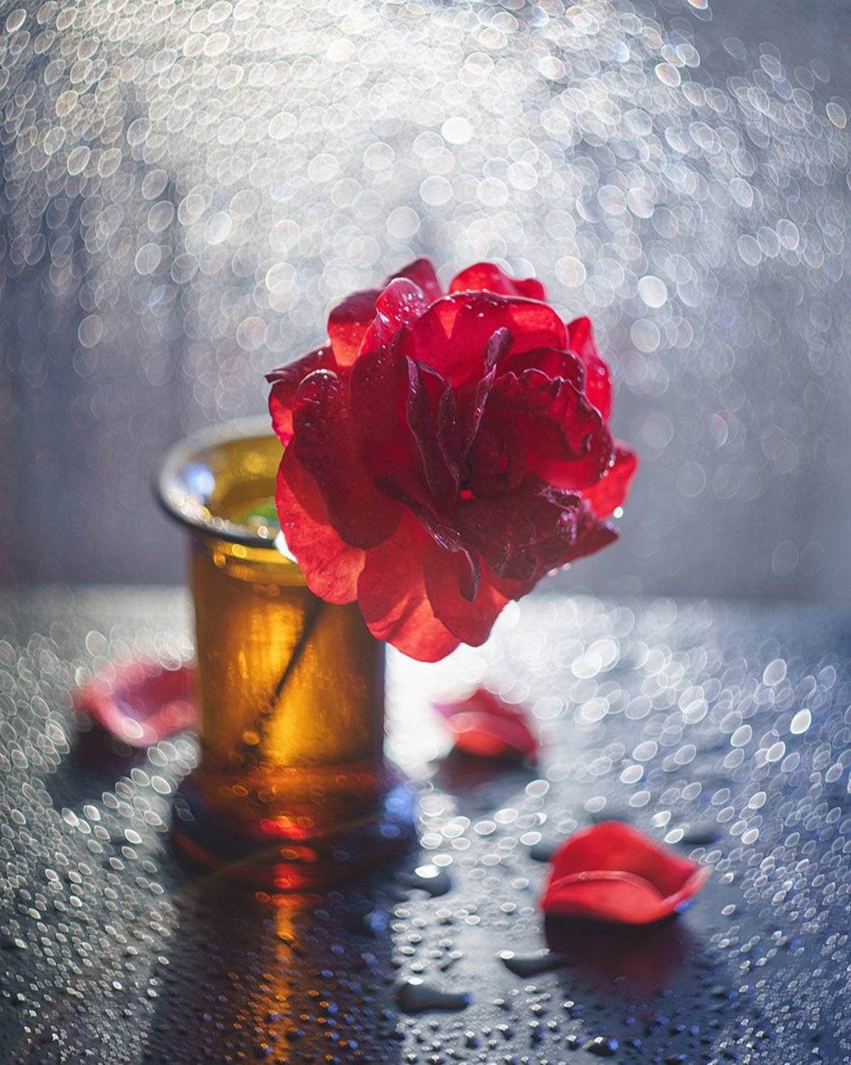 , Казанцев Алексей