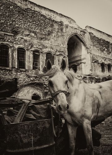 Old Mosul