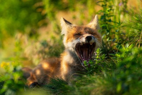 Ещё 5 минуточек...