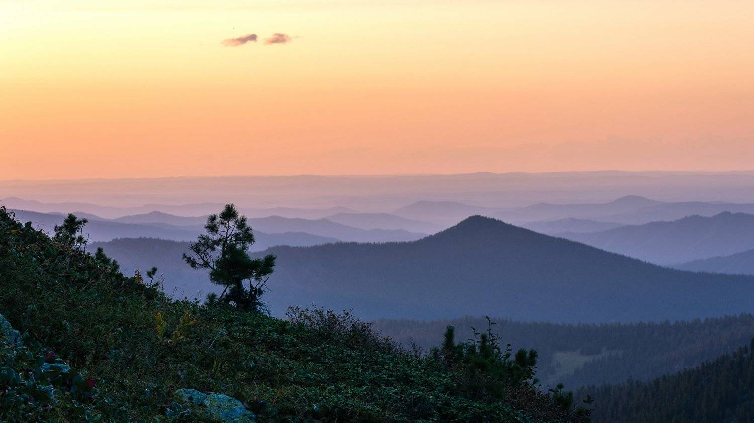 горы, сибирь, саяны, западный саян, ергаки, ник васильев, дерево, кедр, закат, mountains, siberia, sayan, ergaki,, Николай Васильев