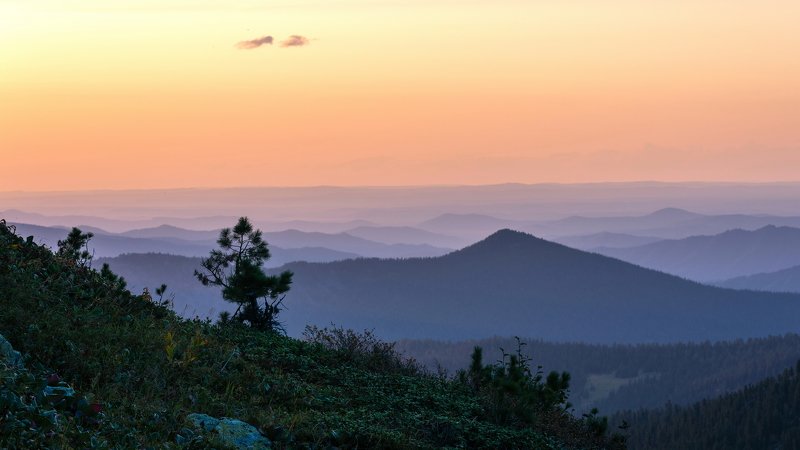 горы, сибирь, саяны, западный саян, ергаки, ник васильев, дерево, кедр, закат, mountains, siberia, sayan, ergaki, Фиолетовый вечер. фото превью