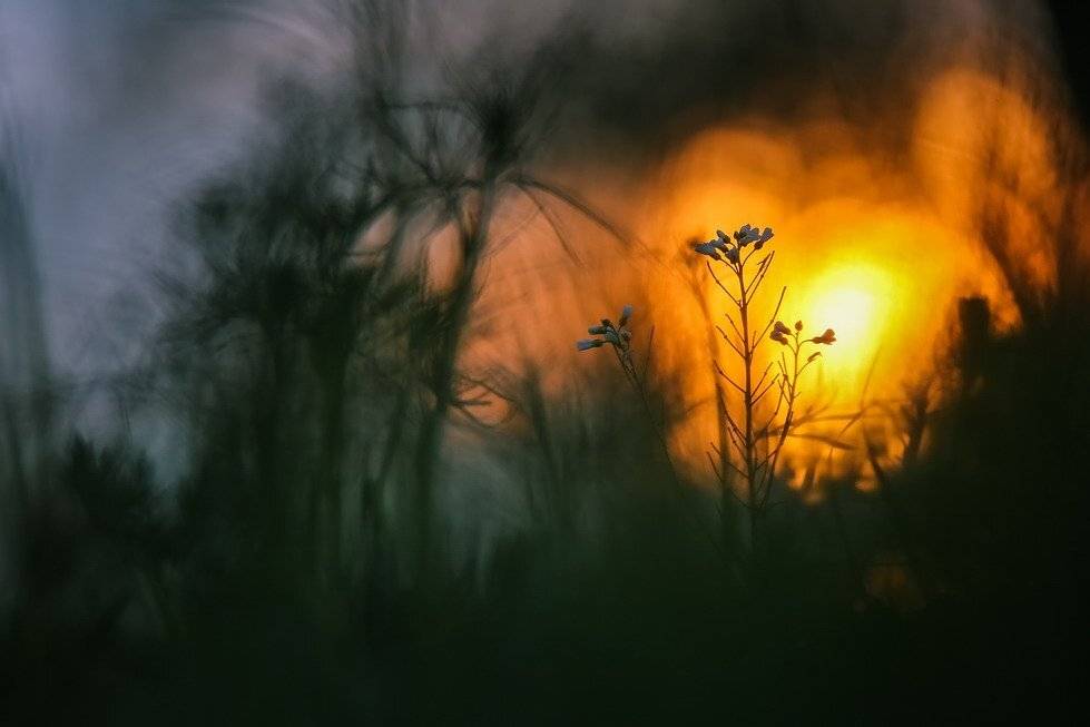 , Вячеслав Мищенко