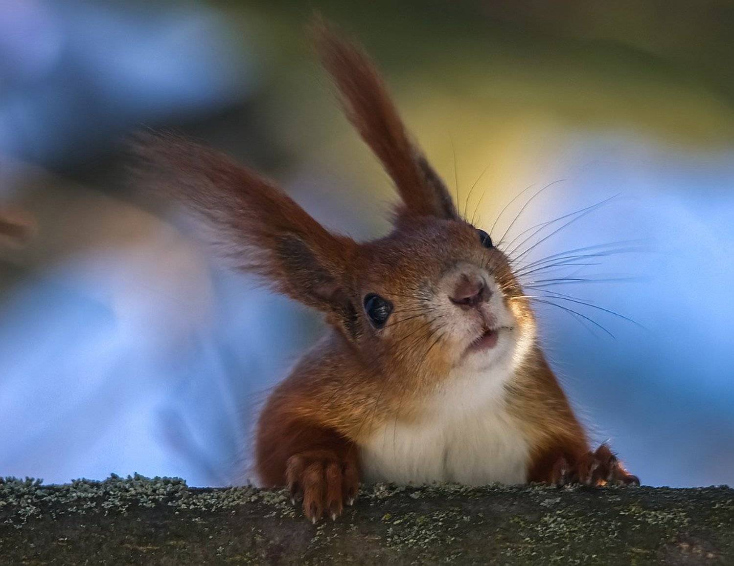 , Вячеслав Мищенко