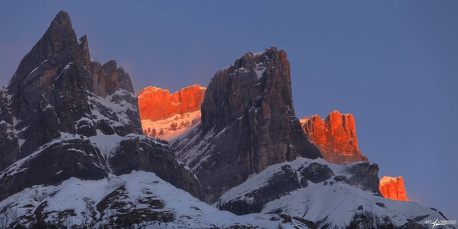 swiss, Матвеев Николай