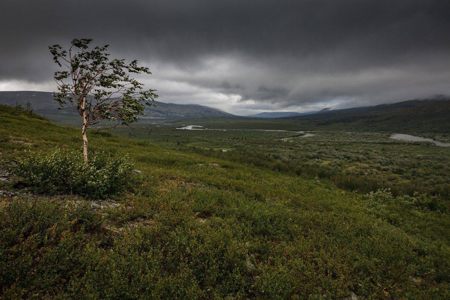 , Евгений Кужилев