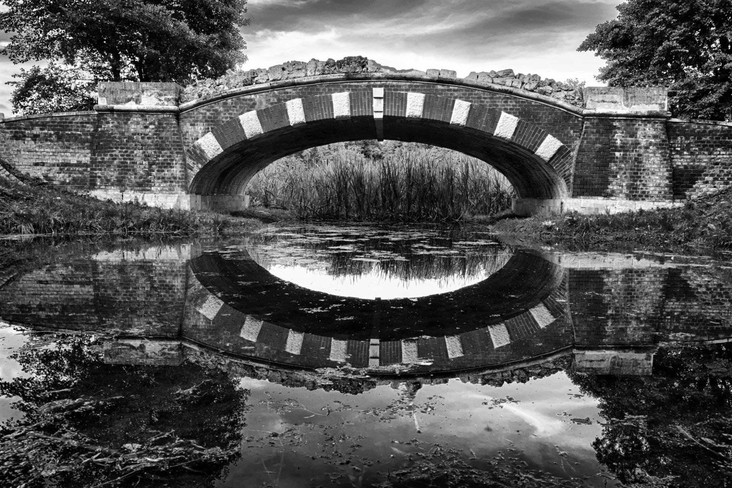 , Алёна Сурнина