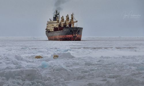 Корабль - призрак