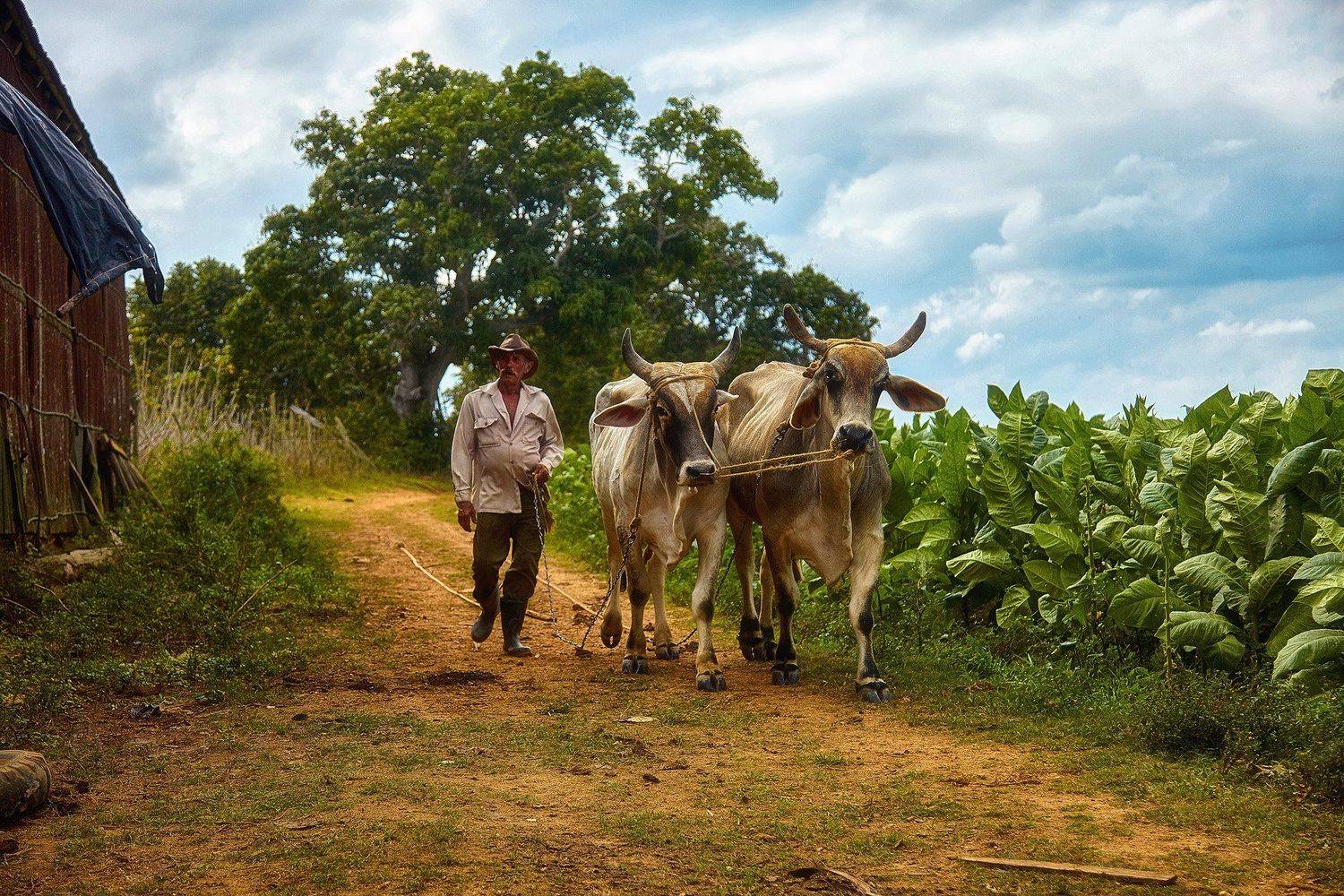 , Рашид Усманов